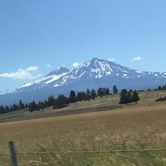 Meet your Posher, Zoe - Picture 1 of 1